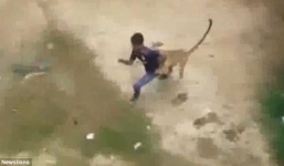 Video: Báo hoang điên cuồng tấn công hàng chục người tại một ngôi làng