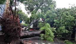 Chùm ảnh 'tan hoang' sau bão số 1