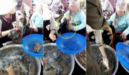 Video: 3 phụ nữ bán hàng dàn cảnh đánh tráo ghẹ sống thành ghẹ chết