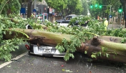 Hà Nội: Bão số 1 (bão Mirinae) đổ bộ, 1 người chết