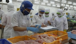 Mặc kinh doanh thua lỗ, sếp Vinafood2 vẫn nhận lương hơn nửa tỷ mỗi năm