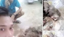Nam thanh niên giết khỉ khoe 'chiến tích' lên mạng xã hội