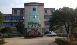 Phó giám đốc trại giam TQ dẫn gái mại dâm phục vụ phạm nhân