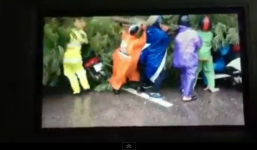Video: Dân Hà Nội cùng nhau nâng cây đổ, cứu người bị nạn mắc kẹt