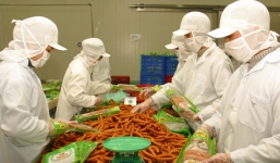 Tập đoàn Hàn Quốc chi hơn 700 tỷ thâu tóm xúc xích Đức Việt ?