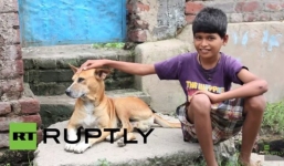 Kỳ lạ bé trai 10 tuổi nghiện bú sữa chó ở Ấn Độ