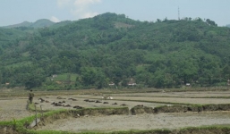 Đi chăn trâu, bé gái 9 tuổi bị sét đánh tử vong