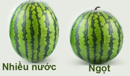Bí quyết chọn dưa hấu ngon nhất ít người biết