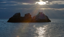 Các nhà khoa học sốc khi phát hiện sự sống dưới đáy Biển Đen