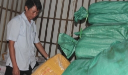 Hơn 8 tấn cá đông lạnh ở Hà Tĩnh nhiễm chất độc