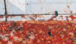 Giòi to bằng đầu đũa bò lúc nhúc trong 7 tấn tương ớt