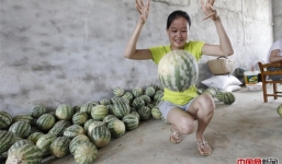 Video dưa hấu Trung Quốc nảy như bóng cao su 