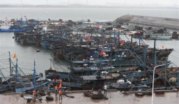 Bão Nida tràn vào Trung Quốc, 3 người chết, hàng trăm chuyến tàu xe bị hủy