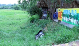 Sát hại bạn nhậu, dựng hiện trường giả rồi quay vào nhà ngủ tiếp