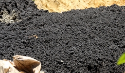 Kết quả phân tích mẫu bùn thải của Formosa tại Hà Tĩnh