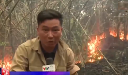 Công an Đắk Lắk: 'VTV dàn dựng cảnh phá rừng để làm phóng sự'