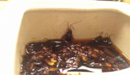 Video: Gián lúc nhúc trong lọ ớt chưng ở nhà hàng tại Hà Nội