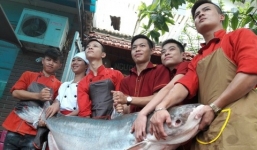 Nhà hàng Hà Nội đón “thủy quái” Me Kong nặng 100kg, giá 70 triệu