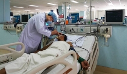 Ăn cá nóc, cả gia đình 5 người suýt mất mạng