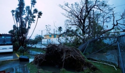 Mexico: 6 người thiệt mạng do bão nhiệt đới Earl