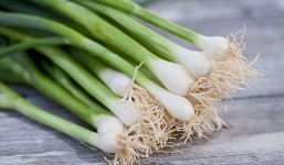 Những bài thuốc chữa bệnh từ hành lá ít người biết