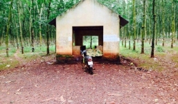 Phát hiện nam thanh niên chết bất thường trong nhà hoang