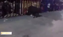 Video: Bò tót điên cuồng đâm cậu bé 15 tuổi giữa phố