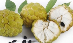 Công dụng bất ngờ của quả na ít ai biết