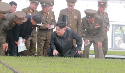 Triều Tiên xử tử 60 người, khôi phục lực lượng truy quét người thất nghiệp