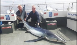 Câu được cá mập xanh 'khủng'  lần đầu ra khơi