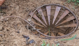 Nhóm thợ săn đặt bẫy mới để bắt đàn trâu hoang ở Quảng Trị