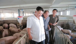 Kim Jong-Un thong thả đi thăm lợn, hái táo