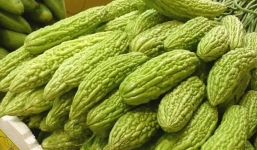 Tác hại khôn lường của mướp đắng nếu dùng sai cách