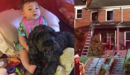 Chó cưng thiệt mạng vì bảo vệ cô chủ nhỏ trong đám cháy nhà