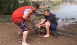 Video: Cá sấu nổi điên quật ngã du khách