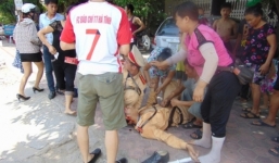 'Quái xế' đầu trần điều khiển xe máy, đâm trọng thương CSGT