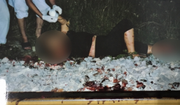 Người phụ nữ thuê chặt chân, tay để lấy 3,5 tỷ bảo hiểm có thể bị phạt?