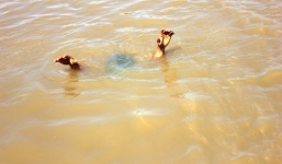 Nữ sinh lớp 9 tử vong sau khi cứu 2 em nhỏ đuối nước