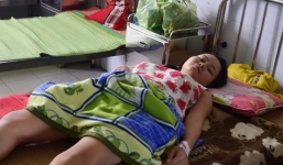 Rắn lục đuôi đỏ cắn người ở Quảng Nam