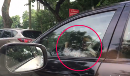 Bé gái lái ô tô biển xanh vèo vèo trên phố Hà Nội 