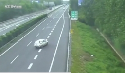 Video: Tài xế liều lĩnh lùi xe suốt 1 km trên cao tốc