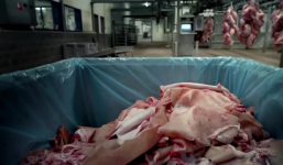 Choáng váng với quy trình làm kẹo dẻo từ thịt lợn