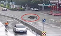 Video: Bắn hạ trâu điên hung hãn húc 13 người bị thương trên phố