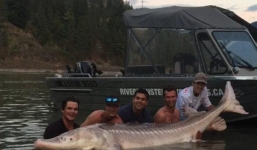 Bắt được 'thủy quái' có mõm lợn nặng gần 300 kg