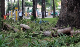 Cành cổ thụ đè cụ bà, hàng chục người săn lùng Pokemon bỏ chạy