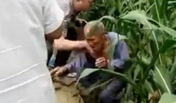 Video: Bí thư thôn đẩy cụ ông 80 tuổi ngã xuống ruộng gây phẫn nộ