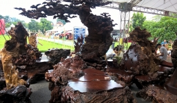 Giới đại gia Hà thành xôn xao trước bộ bàn ghế gỗ nu trên 1 tỷ đồng