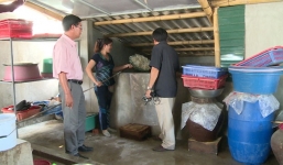 Hơn 20 tấn sứa biển bốc mùi chưa được xử lý ở Quảng Trị