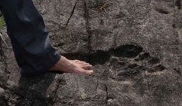 Phát hiện dấu chân người khổng lồ hóa thạch tại miền Tây Trung Quốc