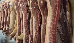 Tập đoàn Rusagro của Nga sắp xuất khẩu thịt lợn sang Việt Nam